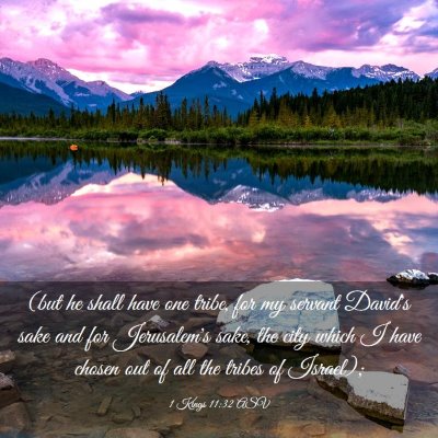 Picture 03 - 1 Kings 11:32 ASV - (but he shall have one tribe, for my servant - Bible Verse Picture