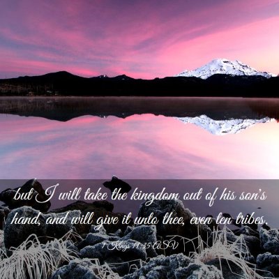 Picture 03 - 1 Kings 11:35 ASV - but I will take the kingdom out of his son's - Bible Verse Picture