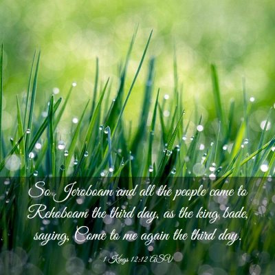 Picture 03 - 1 Kings 12:12 ASV - So Jeroboam and all the people came to Rehoboam - Bible Verse Picture