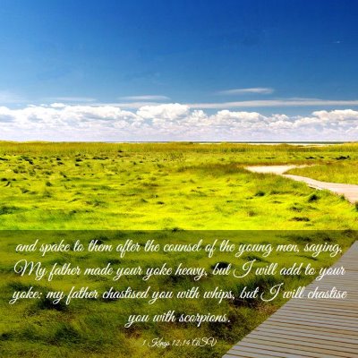 Picture 03 - 1 Kings 12:14 ASV - and spake to them after the counsel of the young - Bible Verse Picture