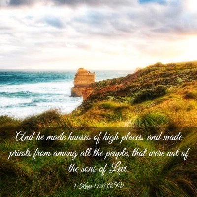 Picture 03 - 1 Kings 12:31 ASV - And he made houses of high places, and made - Bible Verse Picture