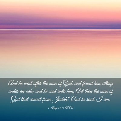 Picture 03 - 1 Kings 13:14 ASV - And he went after the man of God, and found him - Bible Verse Picture