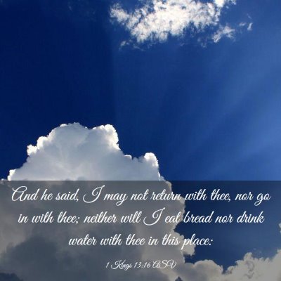Picture 03 - 1 Kings 13:16 ASV - And he said, I may not return with thee, nor go - Bible Verse Picture