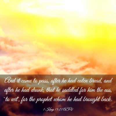 Picture 03 - 1 Kings 13:23 ASV - And it came to pass, after he had eaten bread, - Bible Verse Picture