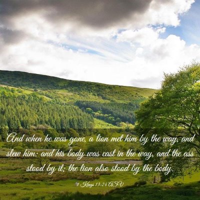 Picture 03 - 1 Kings 13:24 ASV - And when he was gone, a lion met him by the way, - Bible Verse Picture