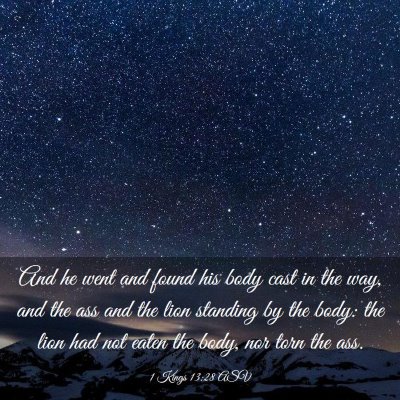 Picture 03 - 1 Kings 13:28 ASV - And he went and found his body cast in the way, - Bible Verse Picture