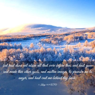 Picture 03 - 1 Kings 14:9 ASV - but hast done evil above all that were before - Bible Verse Picture