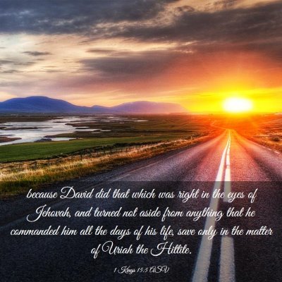 Picture 03 - 1 Kings 15:5 ASV - because David did that which was right in the - Bible Verse Picture