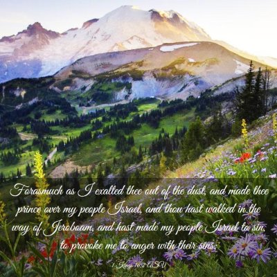 Picture 03 - 1 Kings 16:2 ASV - Forasmuch as I exalted thee out of the dust, and - Bible Verse Picture