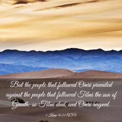 Picture 03 - 1 Kings 16:22 ASV - But the people that followed Omri prevailed - Bible Verse Picture