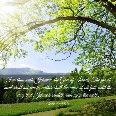 Picture 03 - 1 Kings 17:14 ASV - For thus saith Jehovah, the God of Israel, The - Bible Verse Picture