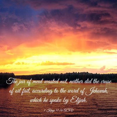 Picture 03 - 1 Kings 17:16 ASV - The jar of meal wasted not, neither did the cruse - Bible Verse Picture