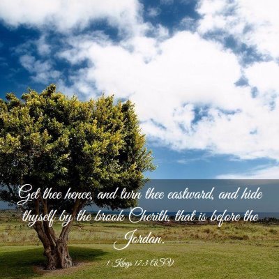 Picture 03 - 1 Kings 17:3 ASV - Get thee hence, and turn thee eastward, and hide - Bible Verse Picture