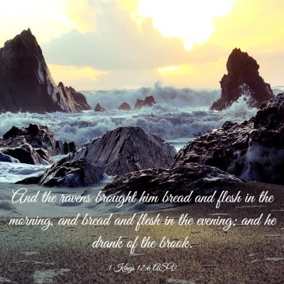 Picture 03 - 1 Kings 17:6 ASV - And the ravens brought him bread and flesh in the - Bible Verse Picture