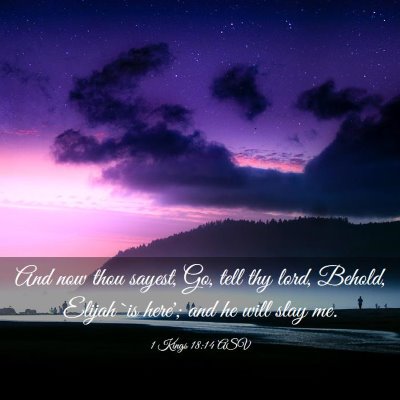 Picture 03 - 1 Kings 18:14 ASV - And now thou sayest, Go, tell thy lord, Behold, - Bible Verse Picture