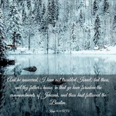 Picture 03 - 1 Kings 18:18 ASV - And he answered, I have not troubled Israel; but - Bible Verse Picture