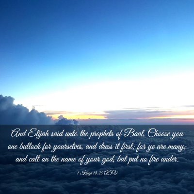 Picture 03 - 1 Kings 18:25 ASV - And Elijah said unto the prophets of Baal, Choose - Bible Verse Picture
