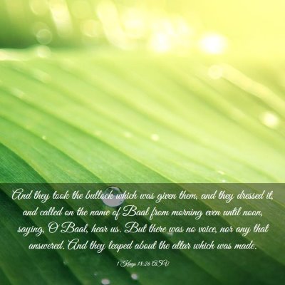 Picture 03 - 1 Kings 18:26 ASV - And they took the bullock which was given them, - Bible Verse Picture