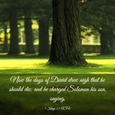 Picture 03 - 1 Kings 2:1 ASV - Now the days of David drew nigh that he should - Bible Verse Picture