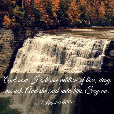 Picture 03 - 1 Kings 2:16 ASV - And now I ask one petition of thee; deny me not. - Bible Verse Picture