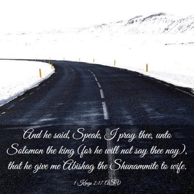 Picture 03 - 1 Kings 2:17 ASV - And he said, Speak, I pray thee, unto Solomon the - Bible Verse Picture