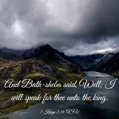 Picture 03 - 1 Kings 2:18 ASV - And Bath-sheba said, Well; I will speak for thee - Bible Verse Picture