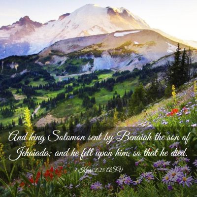Picture 03 - 1 Kings 2:25 ASV - And king Solomon sent by Benaiah the son of - Bible Verse Picture