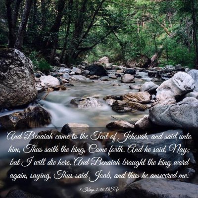 Picture 03 - 1 Kings 2:30 ASV - And Benaiah came to the Tent of Jehovah, and said - Bible Verse Picture