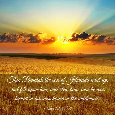 Picture 03 - 1 Kings 2:34 ASV - Then Benaiah the son of Jehoiada went up, and - Bible Verse Picture