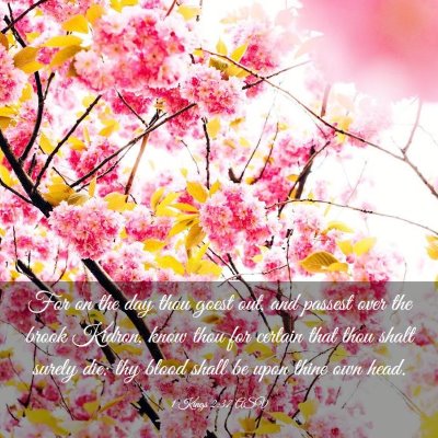 Picture 03 - 1 Kings 2:37 ASV - For on the day thou goest out, and passest over - Bible Verse Picture