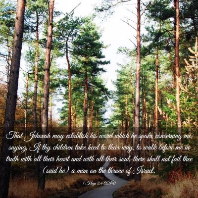 Picture 03 - 1 Kings 2:4 ASV - That Jehovah may establish his word which he - Bible Verse Picture