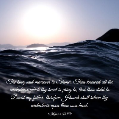 Picture 03 - 1 Kings 2:44 ASV - The king said moreover to Shimei, Thou knowest - Bible Verse Picture