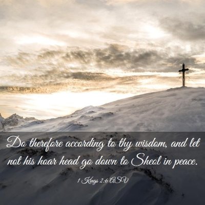 Picture 03 - 1 Kings 2:6 ASV - Do therefore according to thy wisdom, and let not - Bible Verse Picture