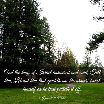 Picture 03 - 1 Kings 20:11 ASV - And the king of Israel answered and said, Tell - Bible Verse Picture
