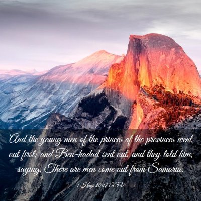 Picture 03 - 1 Kings 20:17 ASV - And the young men of the princes of the provinces - Bible Verse Picture