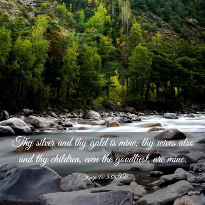 Picture 03 - 1 Kings 20:3 ASV - Thy silver and thy gold is mine; thy wives also - Bible Verse Picture