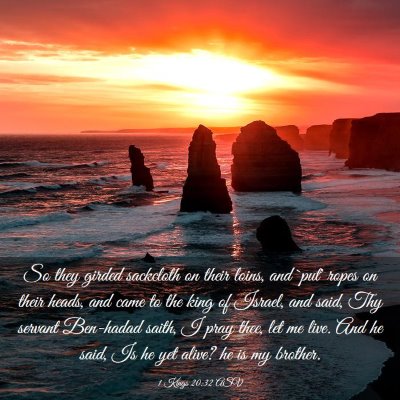 Picture 03 - 1 Kings 20:32 ASV - So they girded sackcloth on their loins, and - Bible Verse Picture