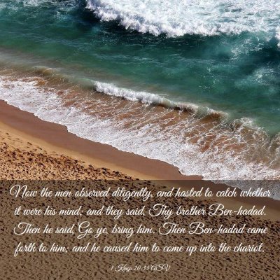 Picture 03 - 1 Kings 20:33 ASV - Now the men observed diligently, and hasted to - Bible Verse Picture