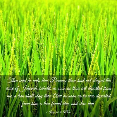 Picture 03 - 1 Kings 20:36 ASV - Then said he unto him, Because thou hast not - Bible Verse Picture