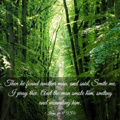Picture 03 - 1 Kings 20:37 ASV - Then he found another man, and said, Smite me, I - Bible Verse Picture