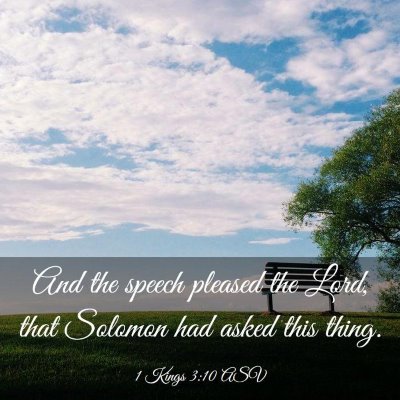 Picture 03 - 1 Kings 3:10 ASV - And the speech pleased the Lord, that Solomon had - Bible Verse Picture