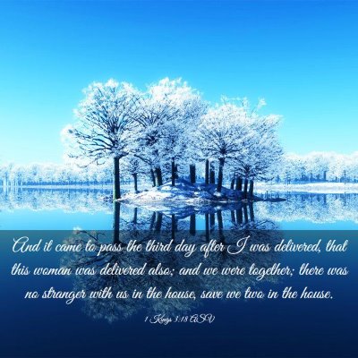 Picture 03 - 1 Kings 3:18 ASV - And it came to pass the third day after I was - Bible Verse Picture