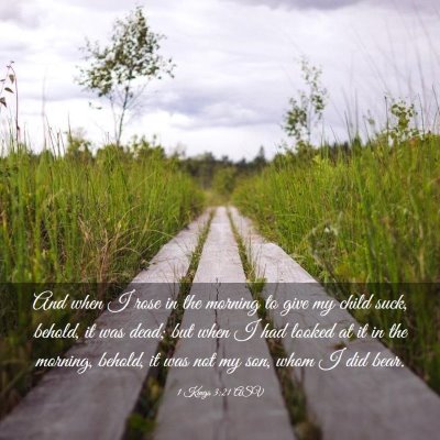 Picture 03 - 1 Kings 3:21 ASV - And when I rose in the morning to give my child - Bible Verse Picture