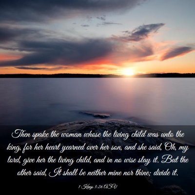 Picture 03 - 1 Kings 3:26 ASV - Then spake the woman whose the living child was - Bible Verse Picture