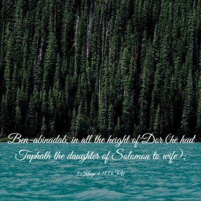 Picture 03 - 1 Kings 4:11 ASV - Ben-abinadab, in all the height of Dor (he had - Bible Verse Picture