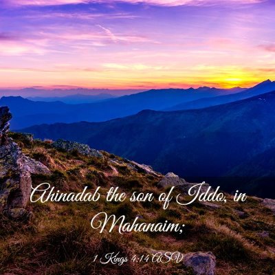 Picture 03 - 1 Kings 4:14 ASV - Ahinadab the son of Iddo, in - Bible Verse Picture