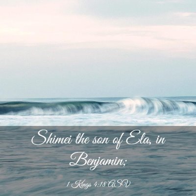 Picture 03 - 1 Kings 4:18 ASV - Shimei the son of Ela, in - Bible Verse Picture