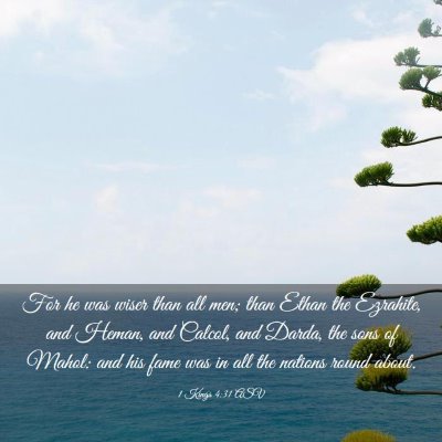 Picture 03 - 1 Kings 4:31 ASV - For he was wiser than all men; than Ethan the - Bible Verse Picture