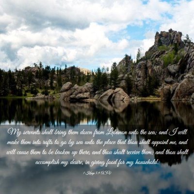 Picture 03 - 1 Kings 5:9 ASV - My servants shall bring them down from Lebanon - Bible Verse Picture