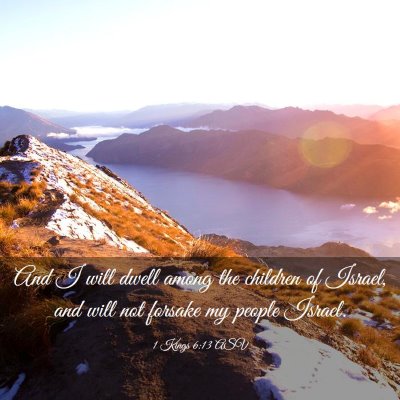 Picture 03 - 1 Kings 6:13 ASV - And I will dwell among the children of Israel, - Bible Verse Picture